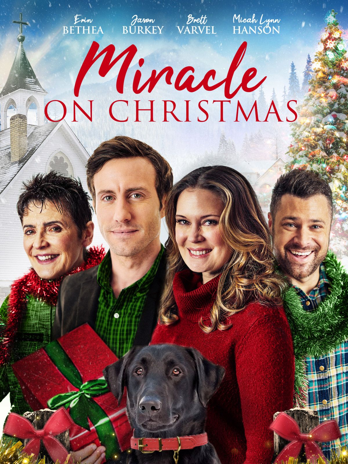 Keyart for the movie Miracle on Christmas
